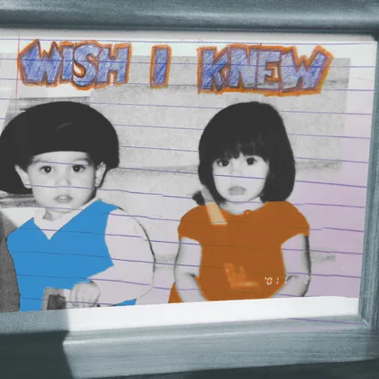 wish i knew cover art